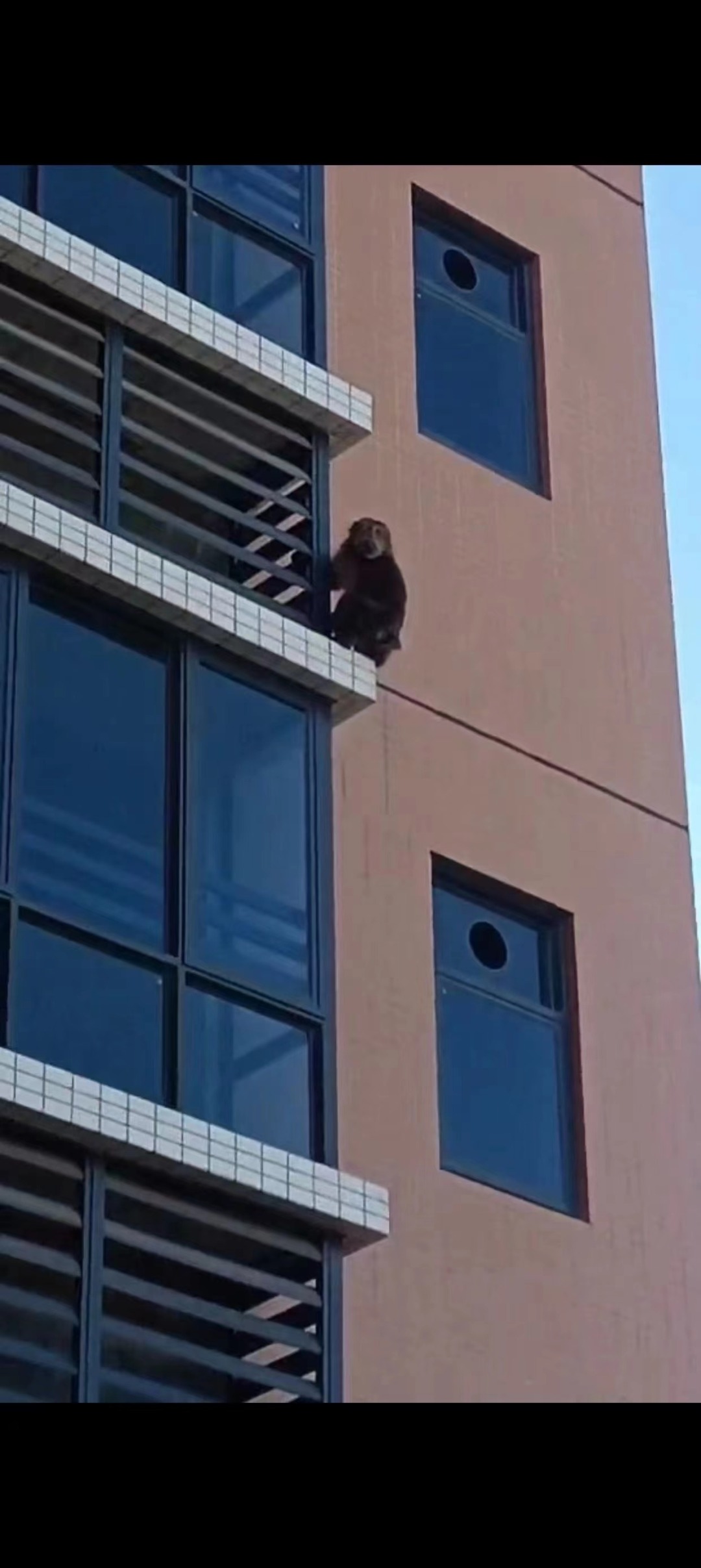 17c0869b963ed9188741f08eea2ca23