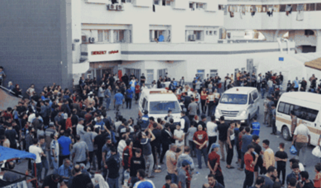 屏幕快照 2023-12-10 下午6.11.08