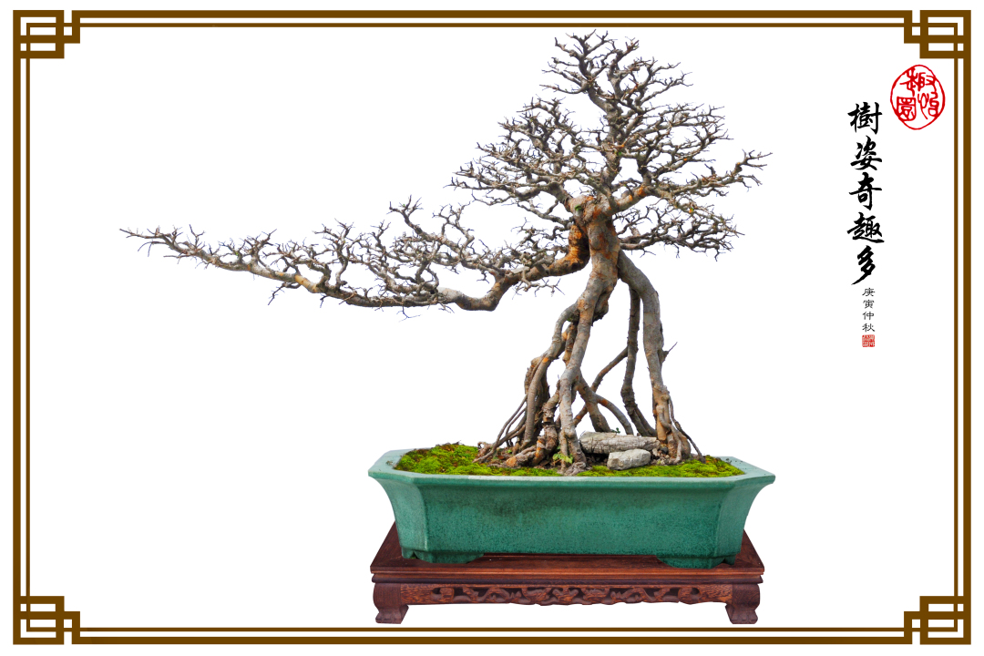 王月华-DSC_2154-FZ102811189936