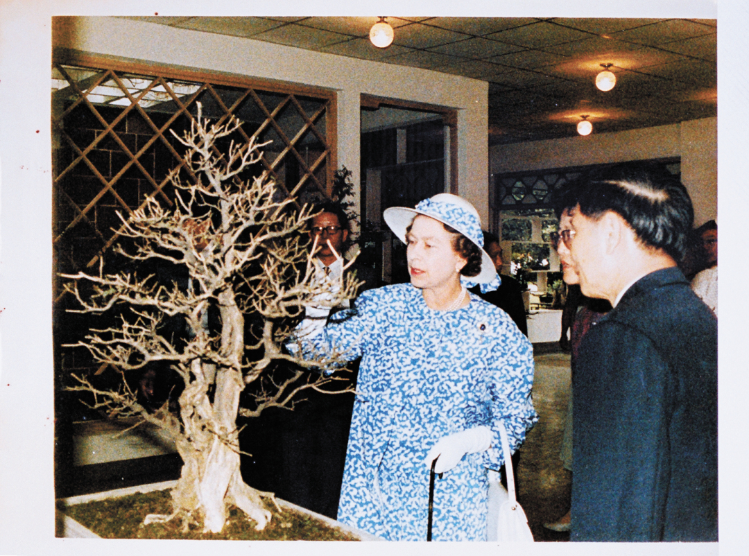 王月华-1986年10月18日,英女王参观广州流-FZ102811189942