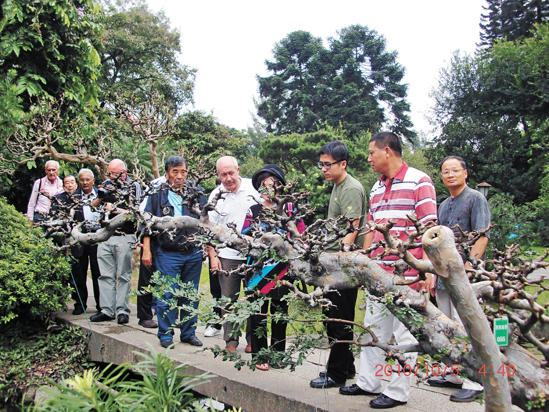 王月华-2010年10月5日,世界盆景联盟(WB-FZ102811189944