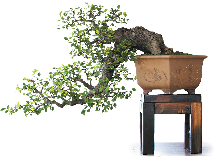 嵇沈玲-微信图片_20231212182810-FZ102811209983