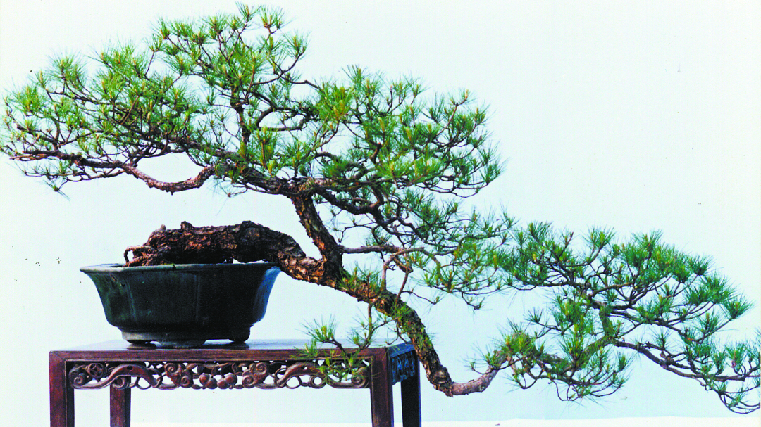 3908df3e57a24d389c7b1bd9693a0c