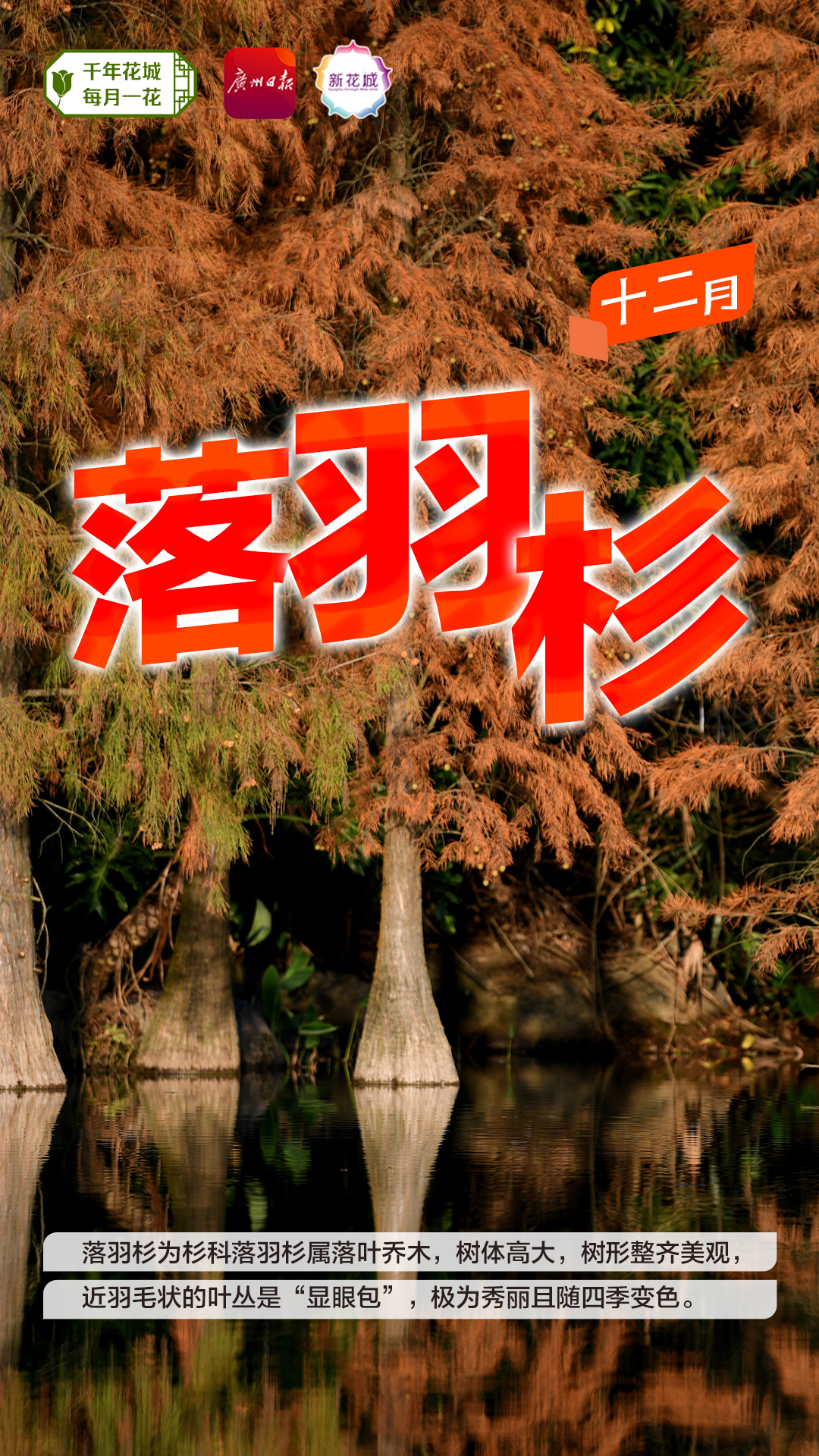 38a674cd74d50b78d8be7ac2ab5c9ce.jpg 38a674cd74d50b78d8be7ac2ab5c9ce.jpg