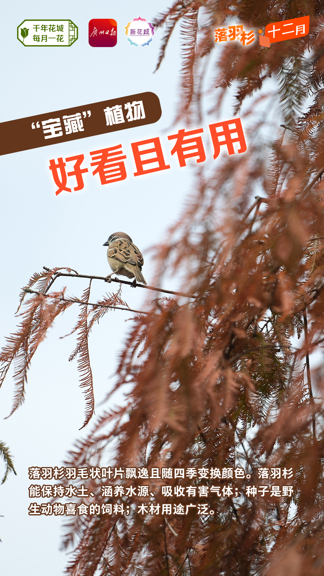 5500e1100396601ccd5f5e05b2bdd39.jpg 5500e1100396601ccd5f5e05b2bdd39.jpg