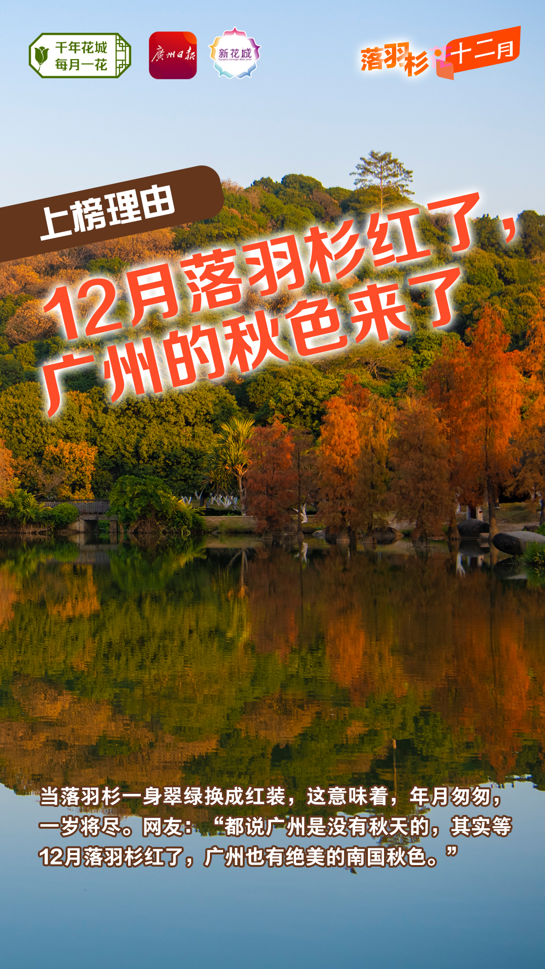 9e75584311e1274a1da754782772219.jpg 9e75584311e1274a1da754782772219.jpg