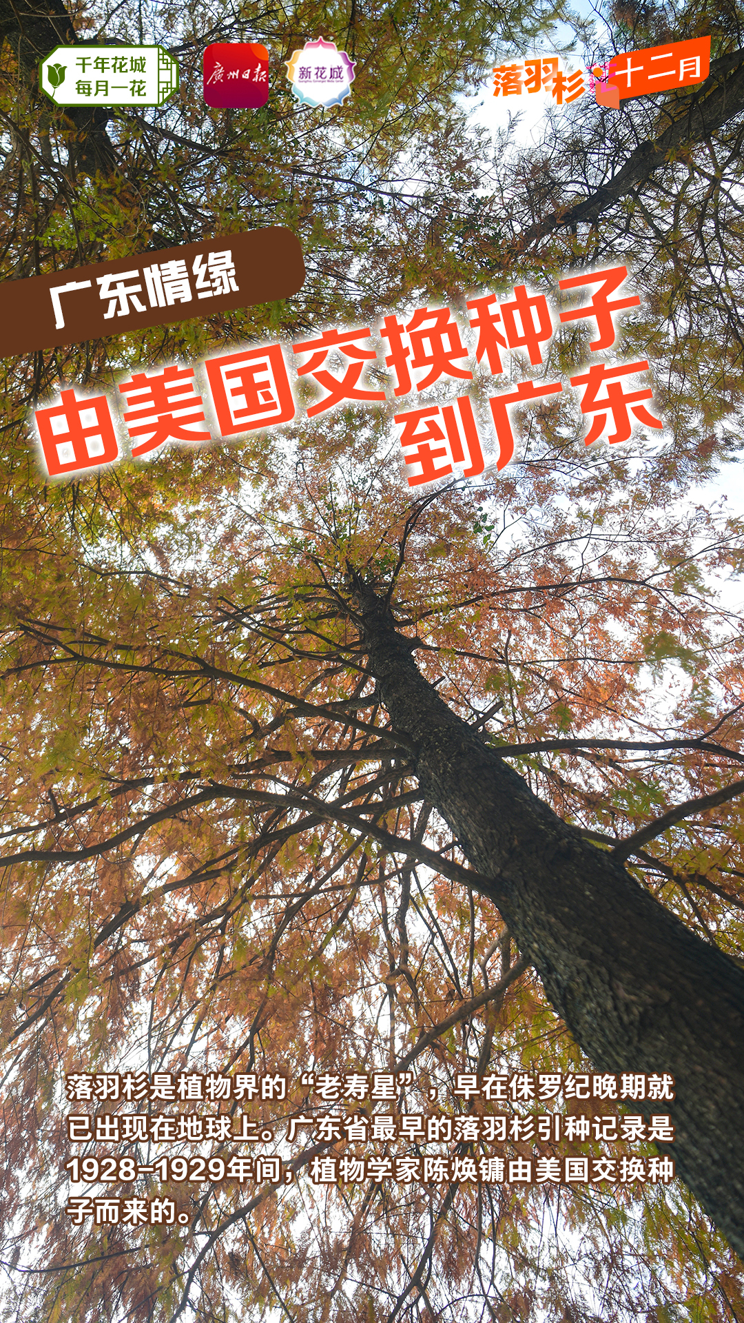 30ffc8e0c8edfd231f330c3ddf4a034.jpg 30ffc8e0c8edfd231f330c3ddf4a034.jpg