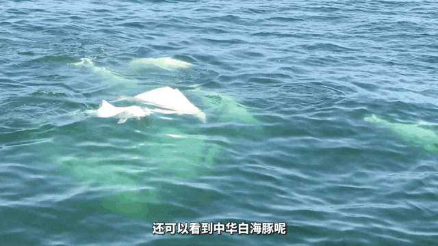 微信图片_20231214203713