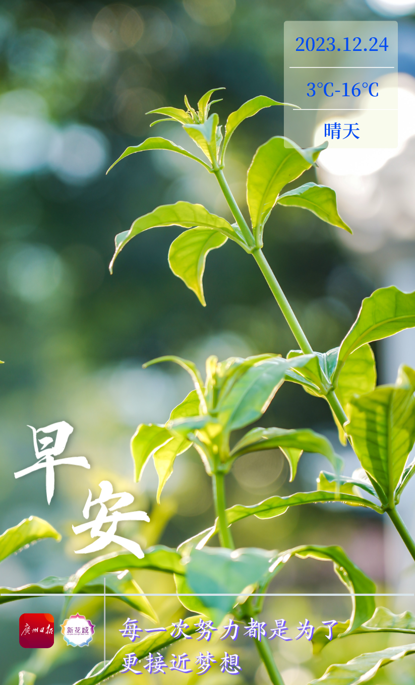 微信图片_20231223202922