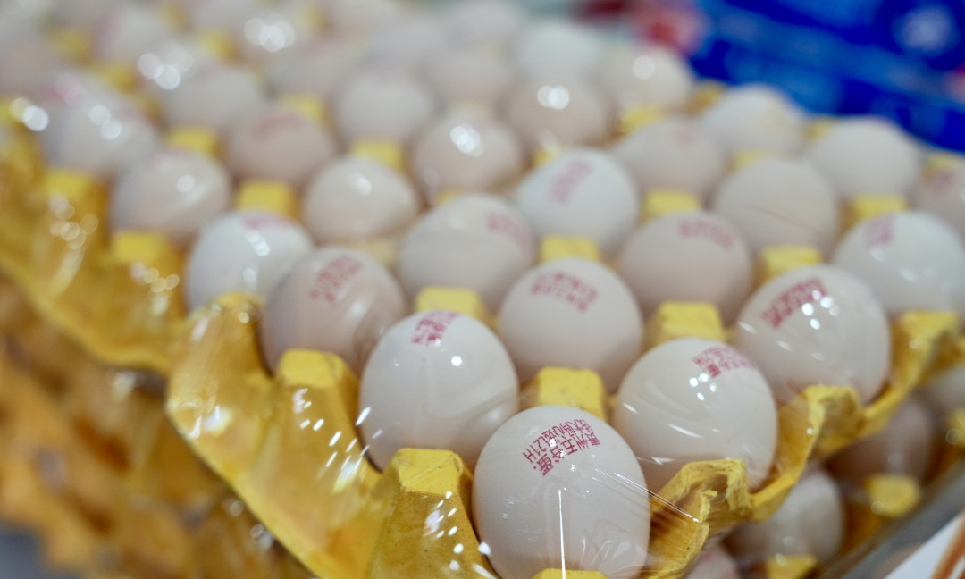 王燕-DSC04098-FZ100211288426