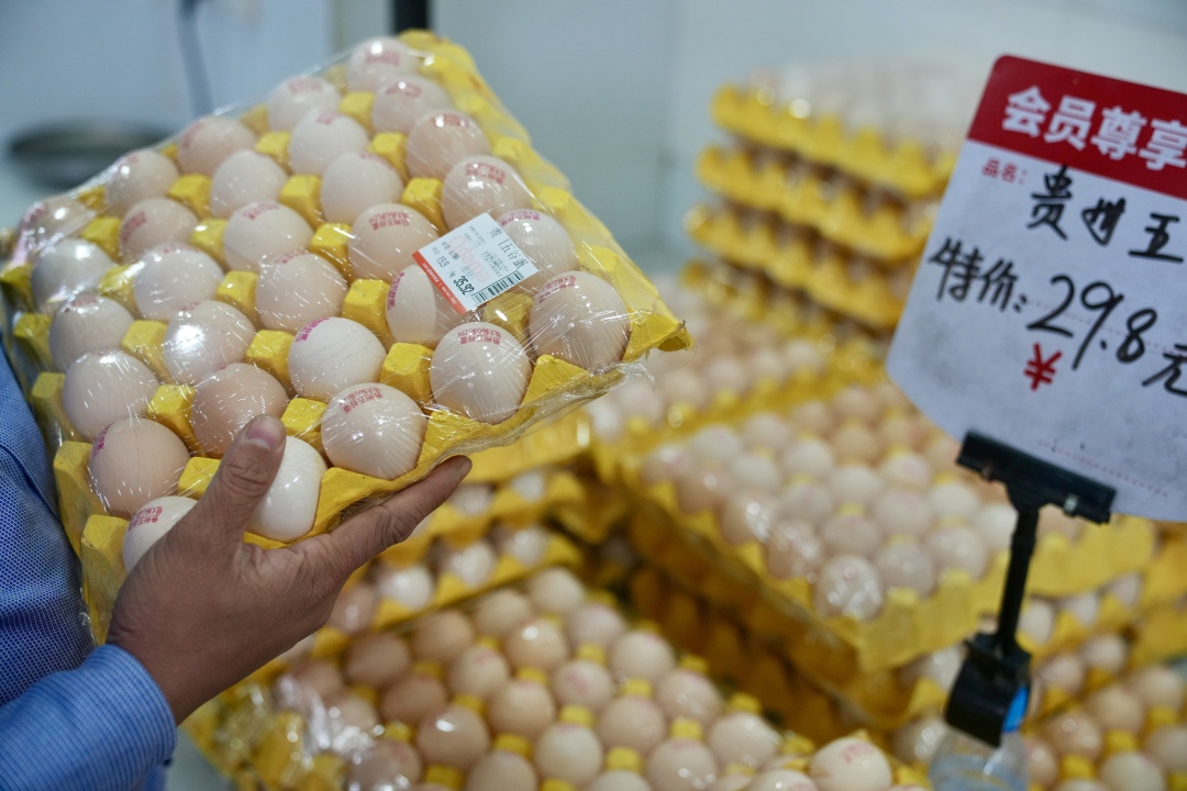 王燕-DSC04132-FZ100211288437