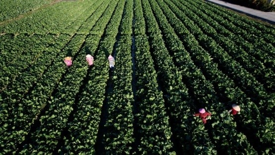 image.png?x-oss-process=style/w10