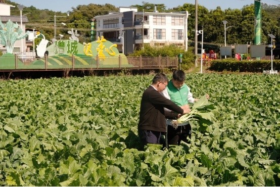 image.png?x-oss-process=style/w10