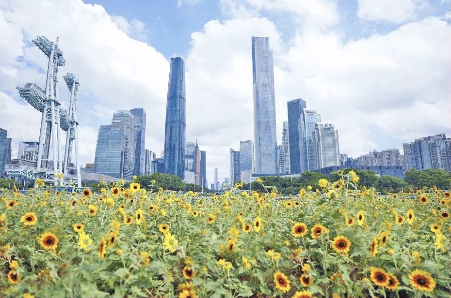 44d2e60ae00ddeb2dfe404b3f615a7d0_f5a38aa2-139c-4764-85de-e0caa46bf754.jpg 44d2e60ae00ddeb2dfe404b3f615a7d0_f5a38aa2-139c-4764-85de-e0caa46bf754.jpg