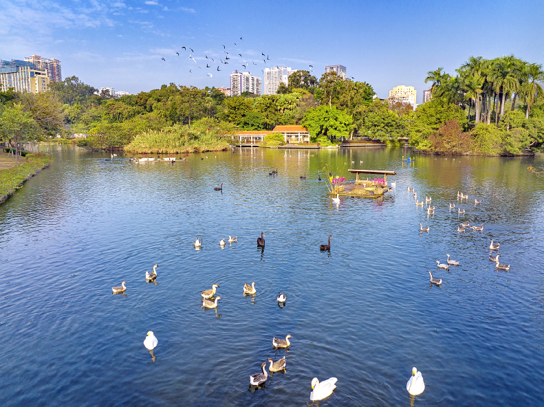 binary_large - 2024-01-02T232005.272