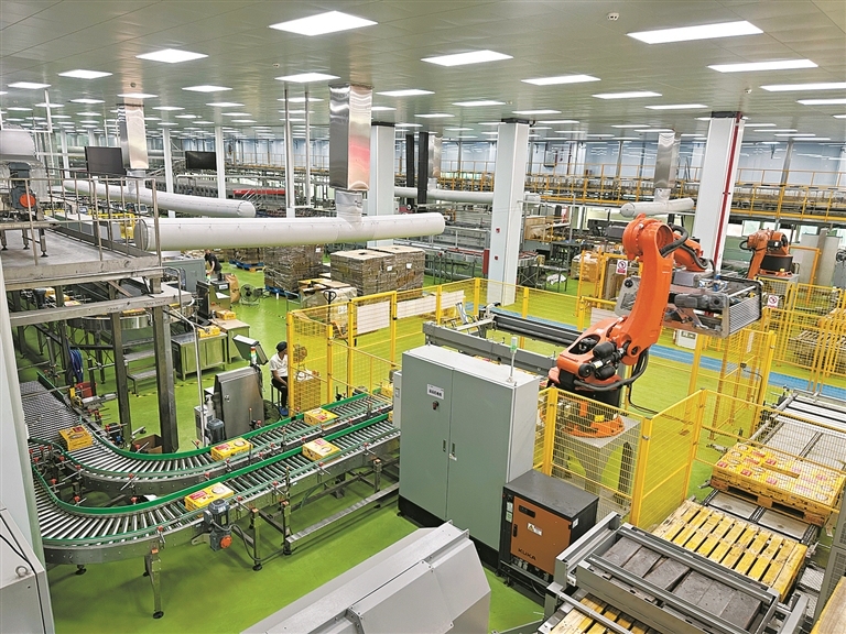 11325258_wangyf_1704202187267_s