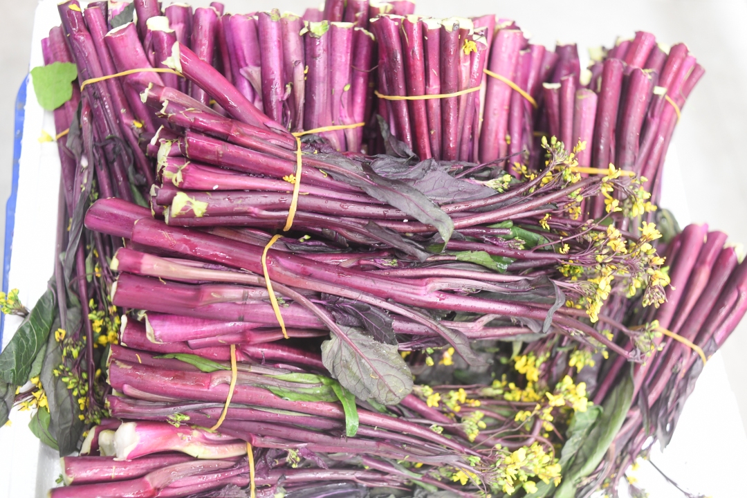 毕节果蔬 (1).jpg