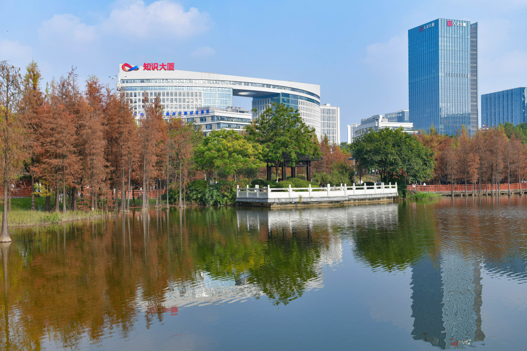 凤凰湖畔的冬日美景