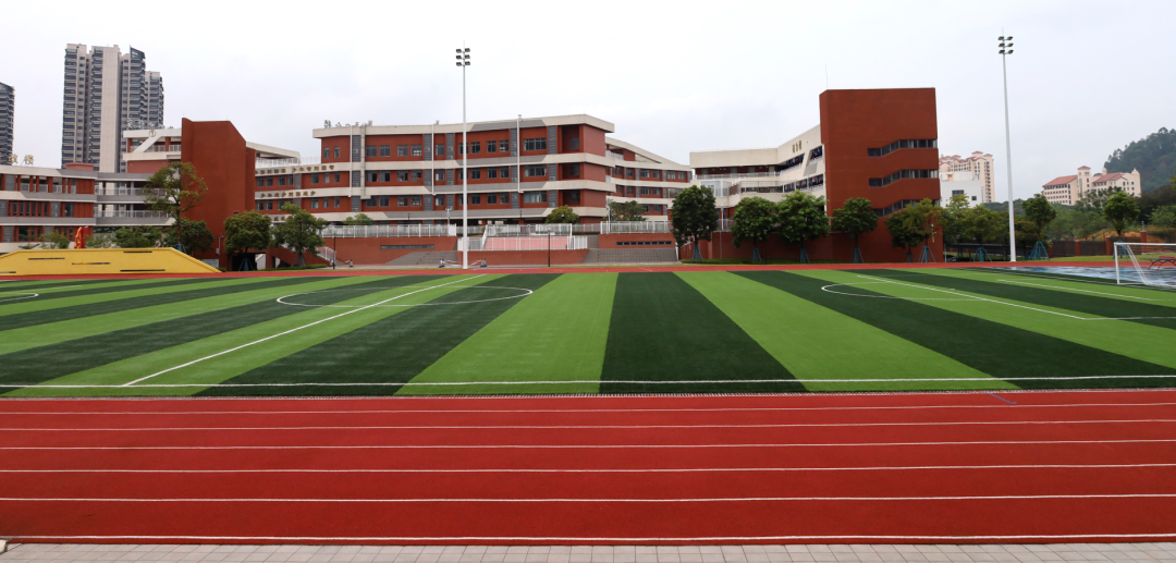 1704687089866036959.png 1704687089866036959.png