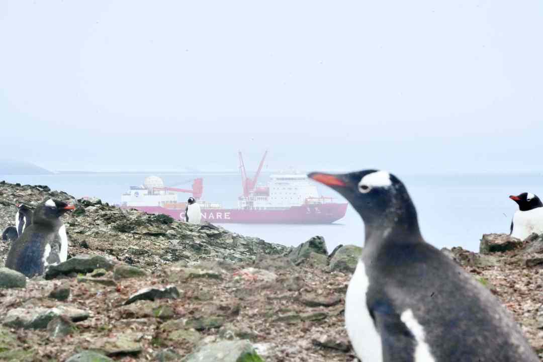 1704853604124847.jpg?x-oss-process=style/w10 DSC09567.01.01.jpg?x-oss-process=style/w10