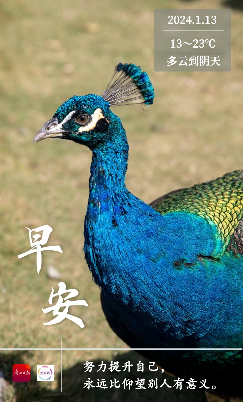 微信图片_20240112213252