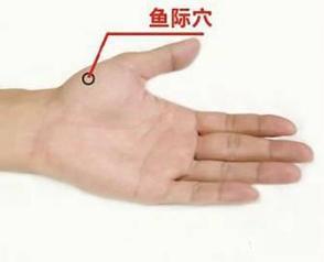 鱼际穴