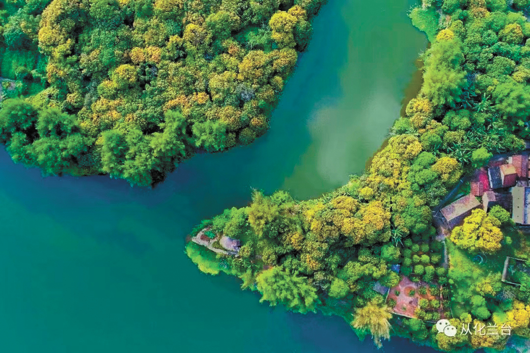 11386960_oujy_1705310687745