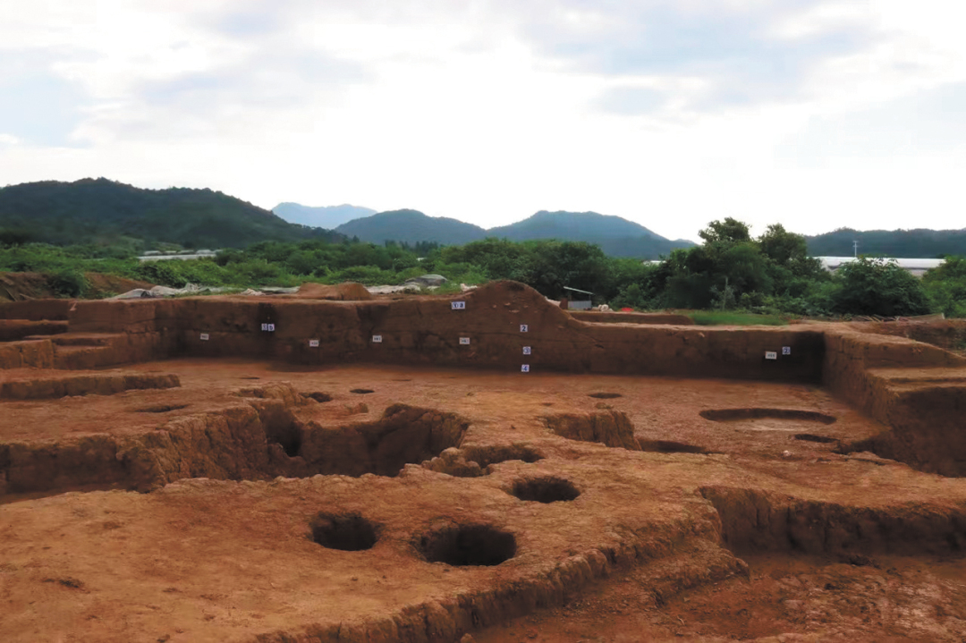 11386961_oujy_1705310674598