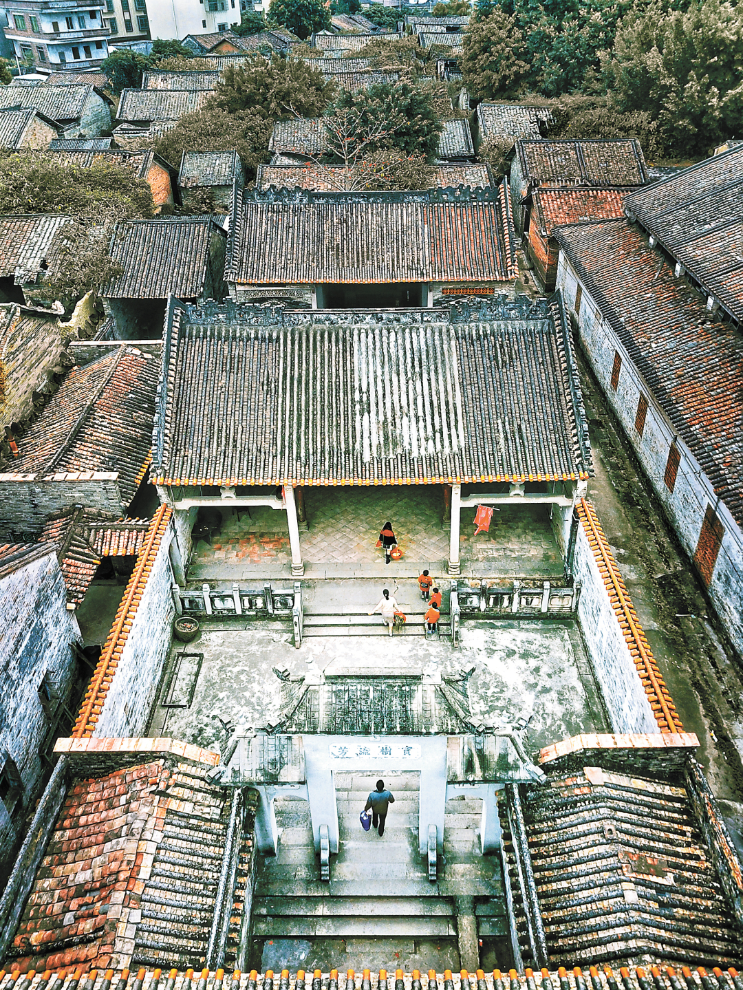 11374134_duzj_1705069440197