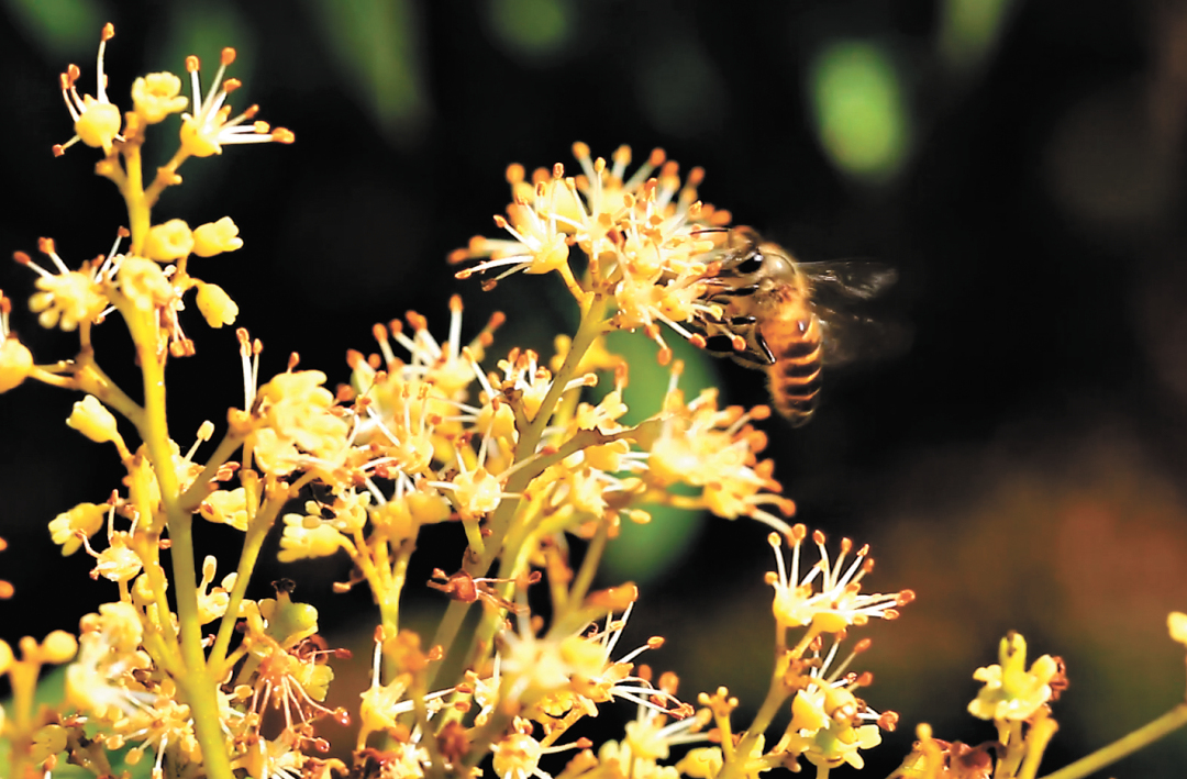 11373817_huangwx_1705067941340