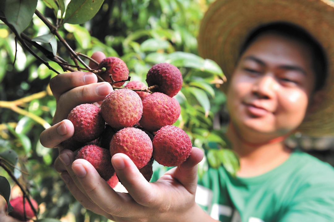 11374143_duzj_1705069080259