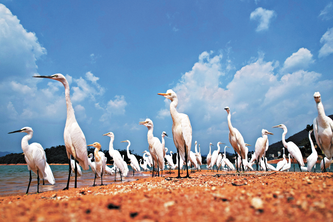 11382285_zhanghl_1705241901148