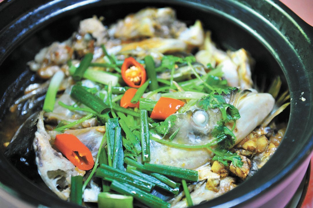 11387520_oujy_1705313989837