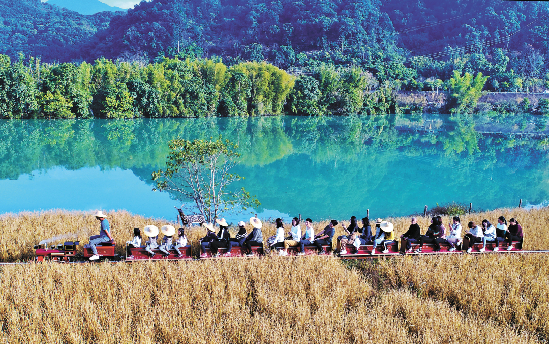 11373799_huangwx_1705069103422