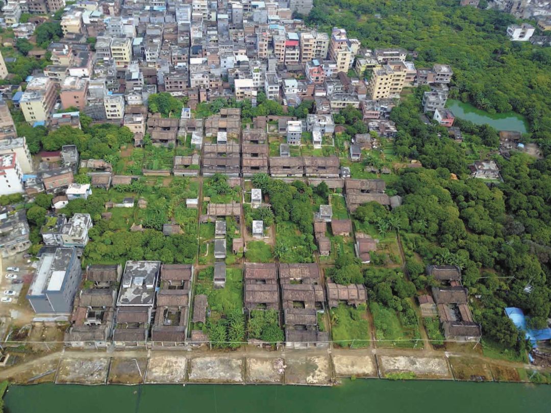 11387580_oujy_1705313923791