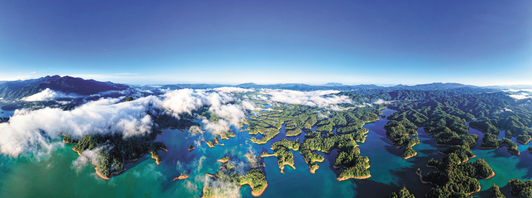 11373803_huangwx_1705069083355