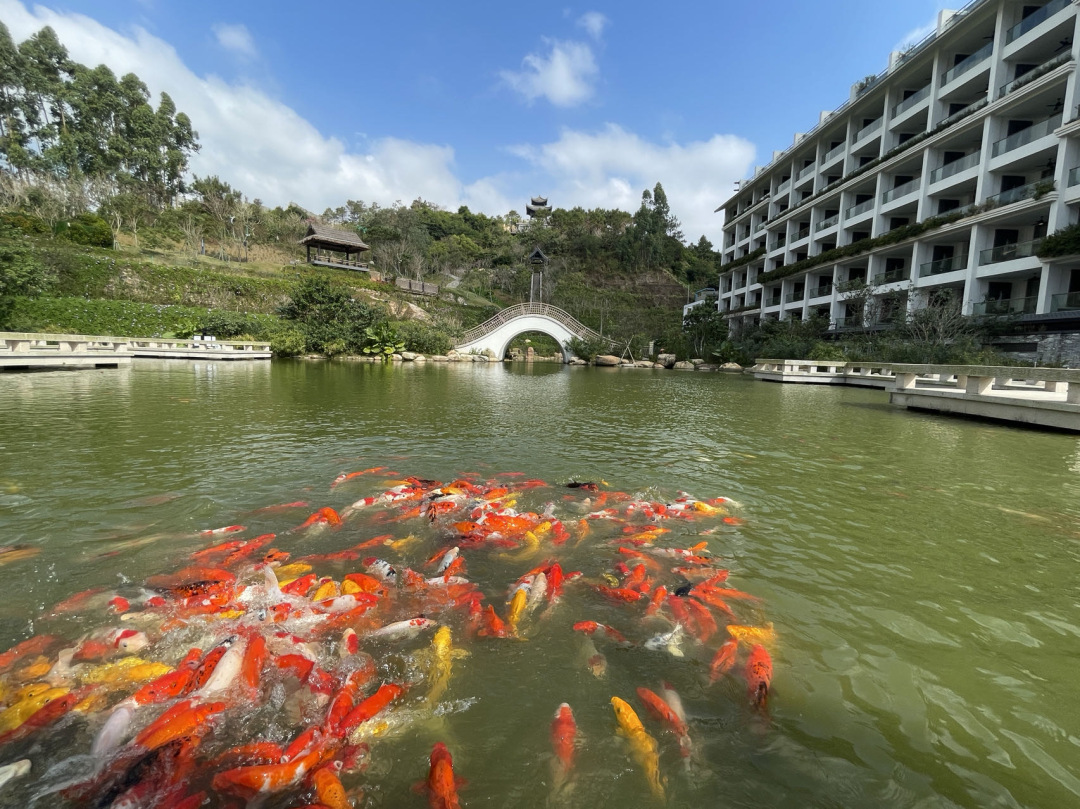 65e01472bb285be4aff9aa17490c95d4