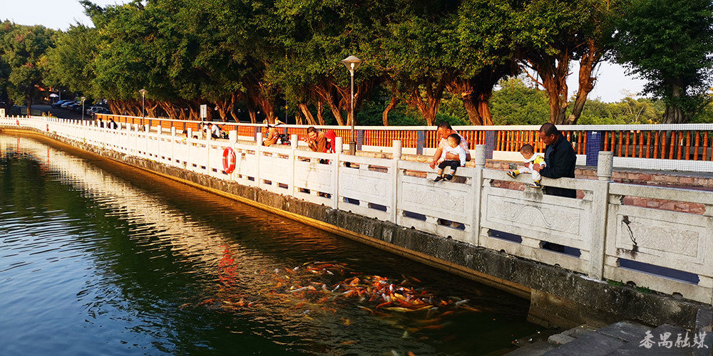 美丽乡村绽放美丽经济2023年番禺旧水坑村集体经济收入13900多万元