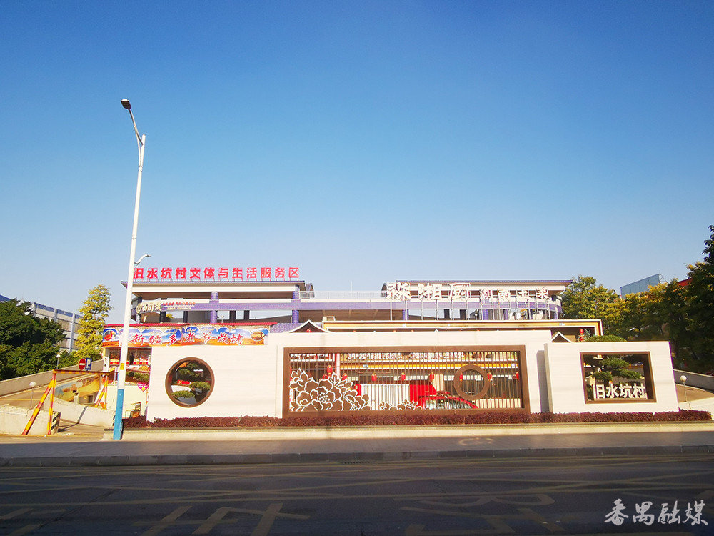 美丽乡村绽放美丽经济2023年番禺旧水坑村集体经济收入13900多万元