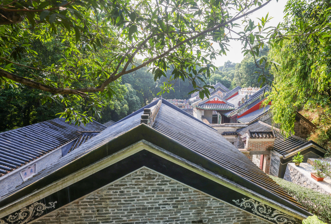 微信图片_20240122171639