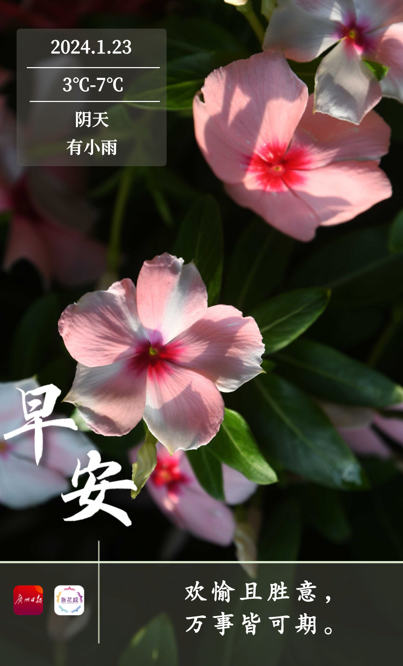 503fe8a1a1e969372567f99deb3f5d6.png 503fe8a1a1e969372567f99deb3f5d6.png