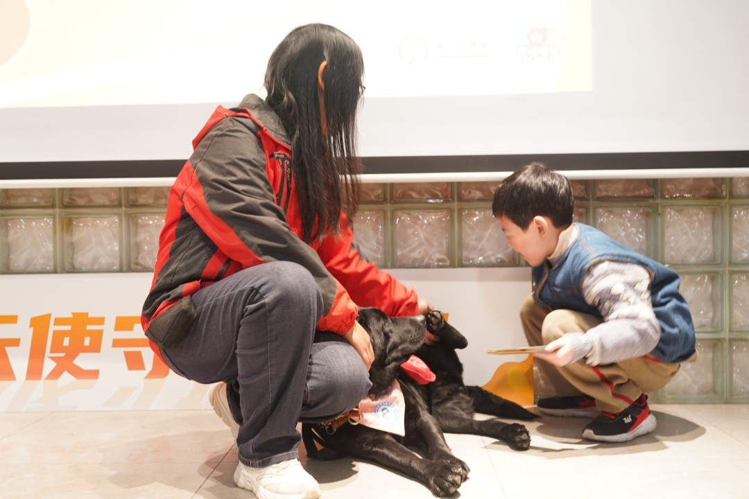 DSC02636