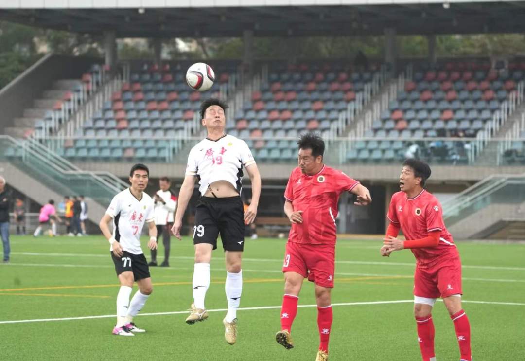 微信图片_20240131192539