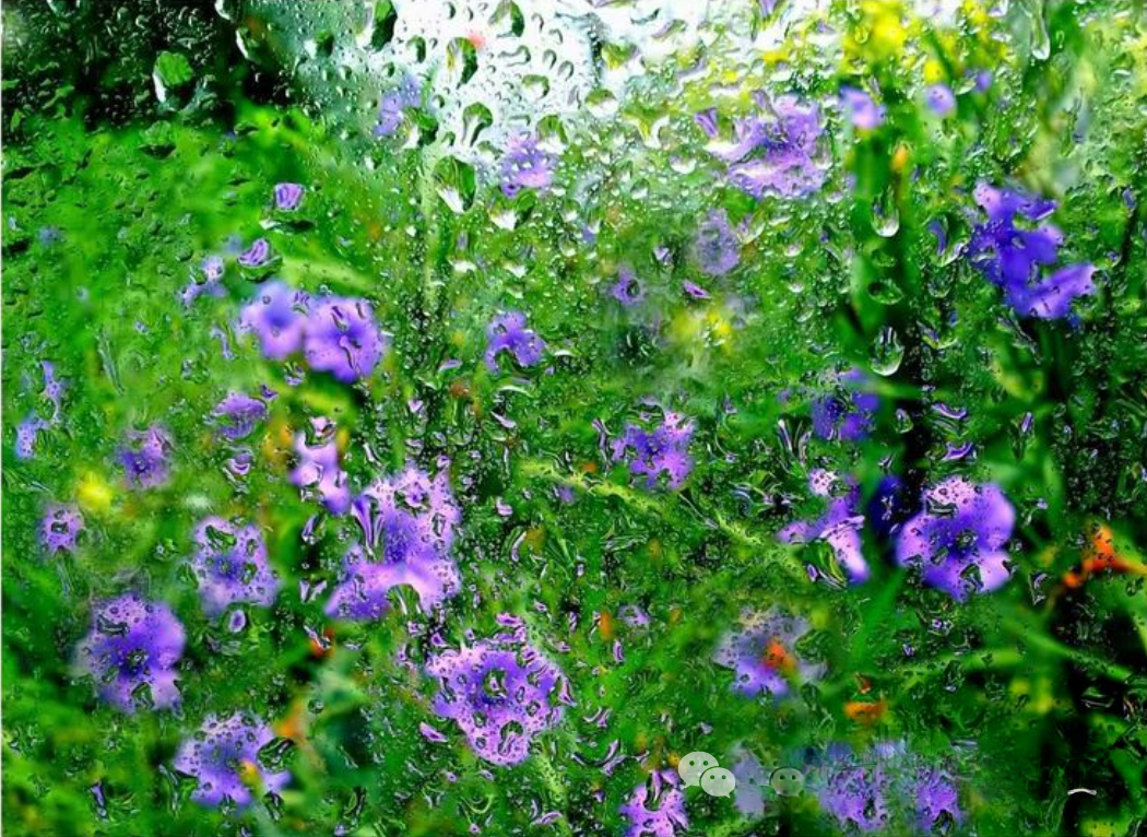 微信图片_20240203140734