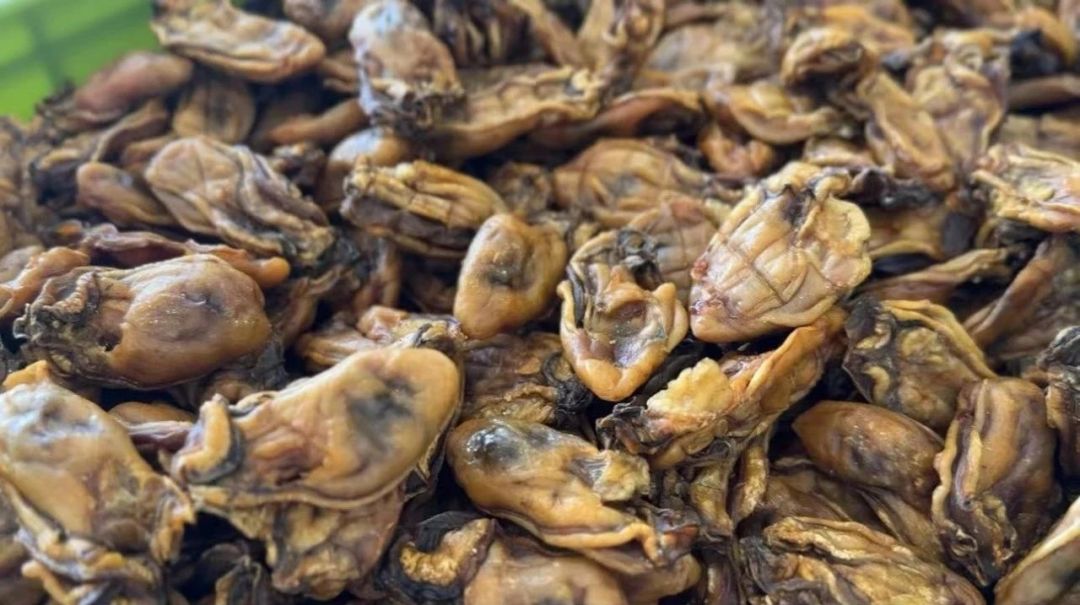 微信图片_20240204083101