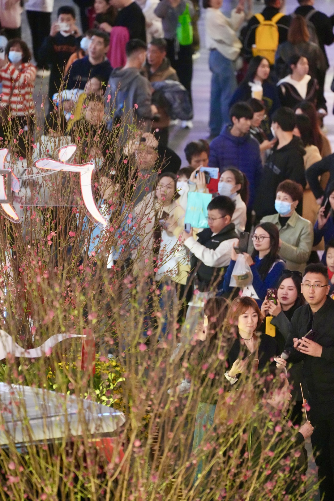 3930a87f90dccfaa290967bcc936269.jpg 3930a87f90dccfaa290967bcc936269.jpg