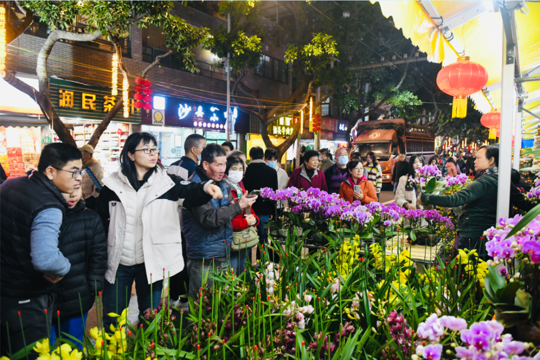 微信图片_20240205210034