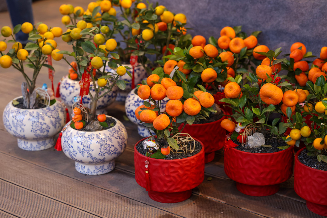 35a326649df5e6a2c97c366ab34d414