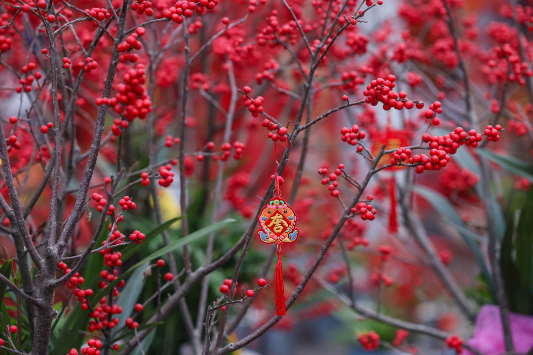 2f323a78199cad596bbb66b329665e6