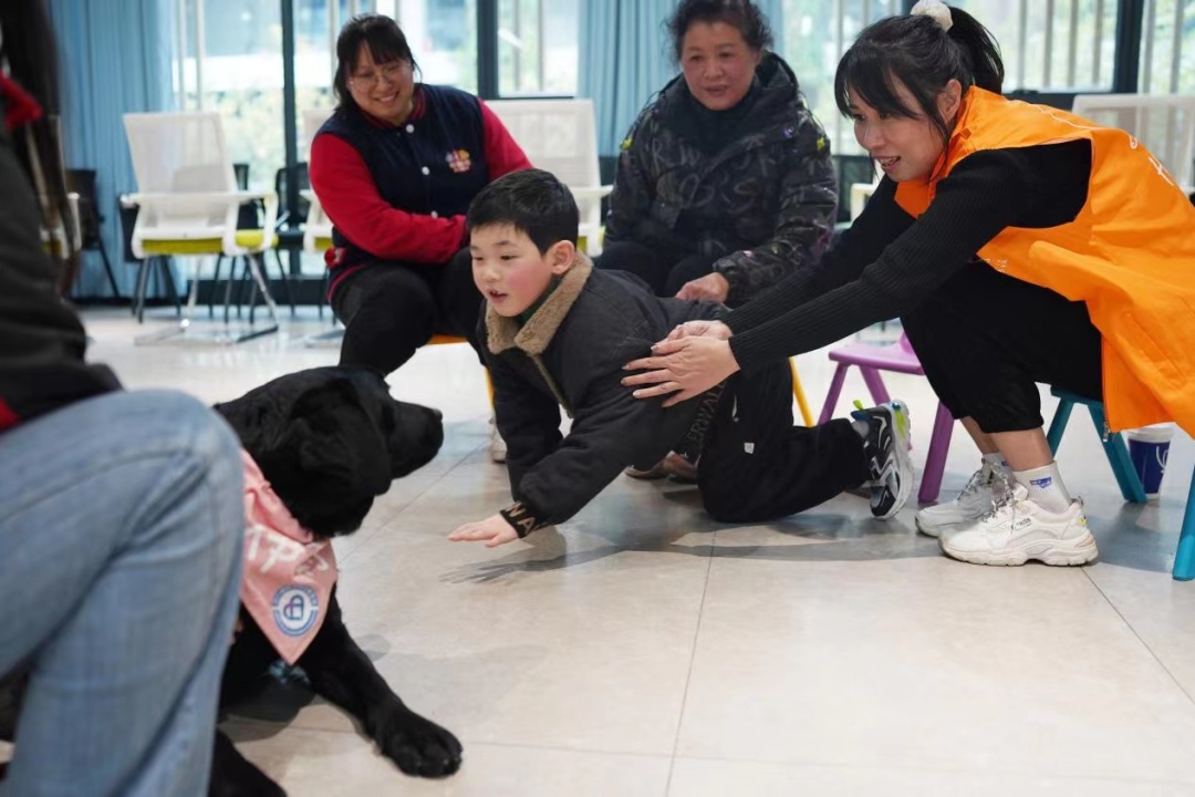 孤独症儿童与辅助犬见面